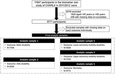 A Machine Learning-Based Aging Measure Among Middle-Aged and Older Chinese Adults: The China Health and Retirement Longitudinal Study